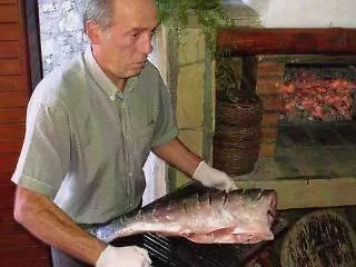 Margarita Hotel
